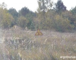 Radiation Sign at Red Forest